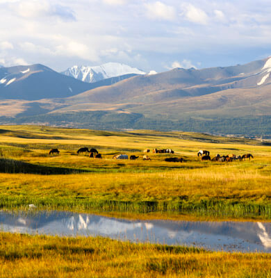 Altai mountain