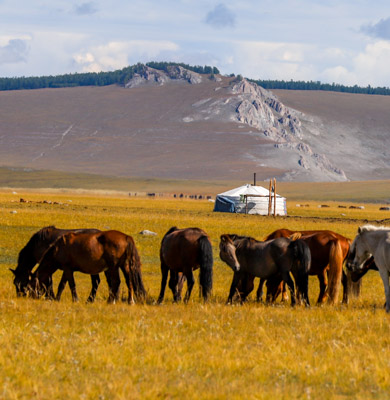 Khuvsgul tour Mongolia