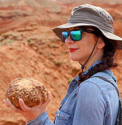 Mongolia dinosaur egg