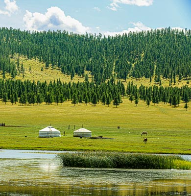 Mongolia luxury tour