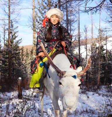 Mongolian winter reindeer tour