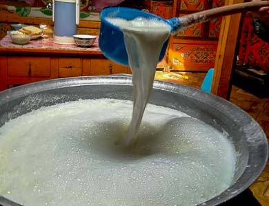 Mongolian milk