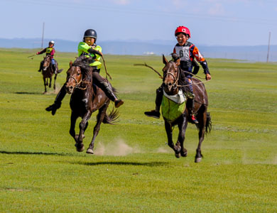 Mongolia racing horses