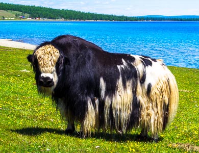 Mongolia Khovsgol Lake