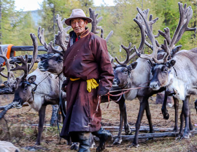 Mongolia reindeer herders
