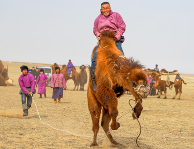 gobi desert attraction