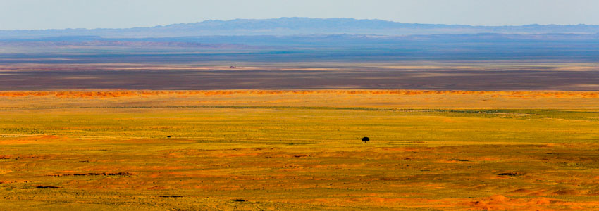 Gobi desert Mongolia