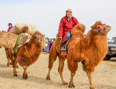 Gobi desert