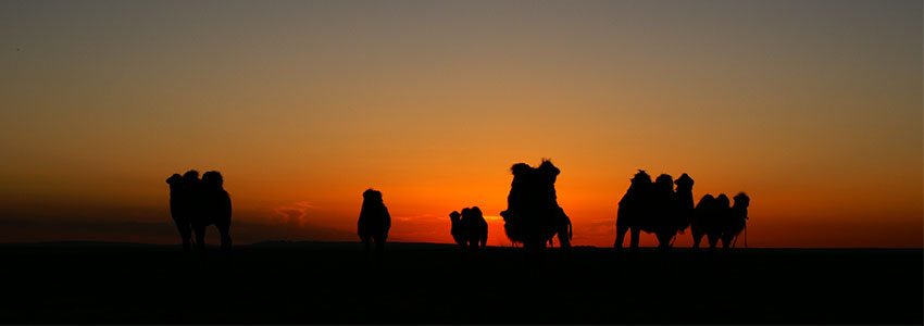 Mongolia Gobi desert