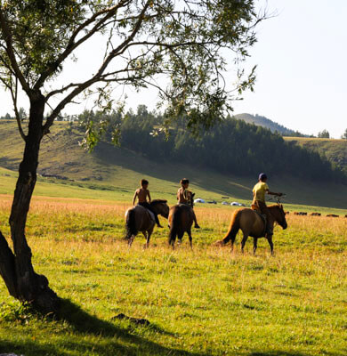 travel to Mongolia in july